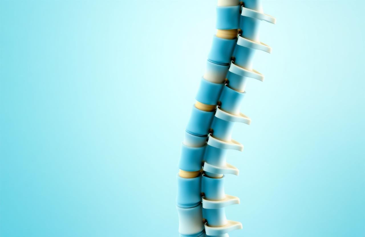 Peripheral Neuropathy anatomical illustration — spine care at Brain and Spine Specialists of Georgia